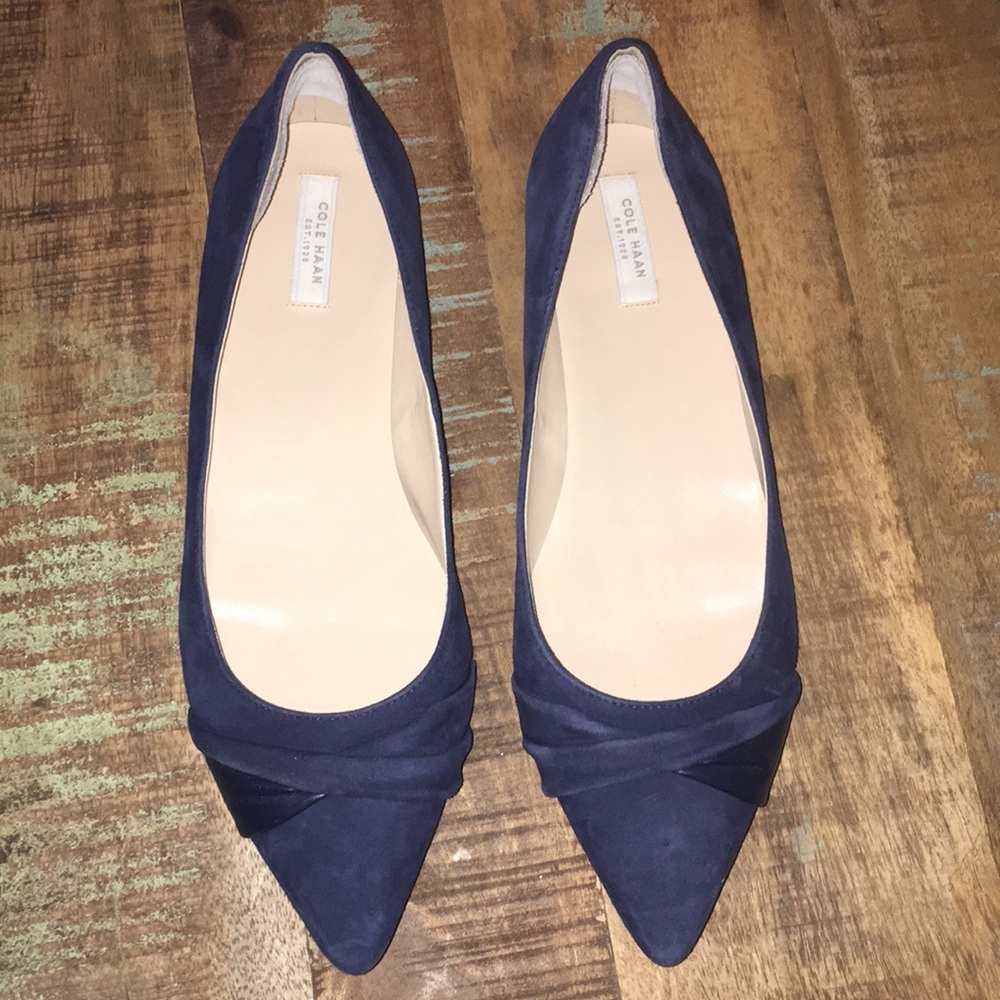 Cole Haan Brand New without tag blue suede flat